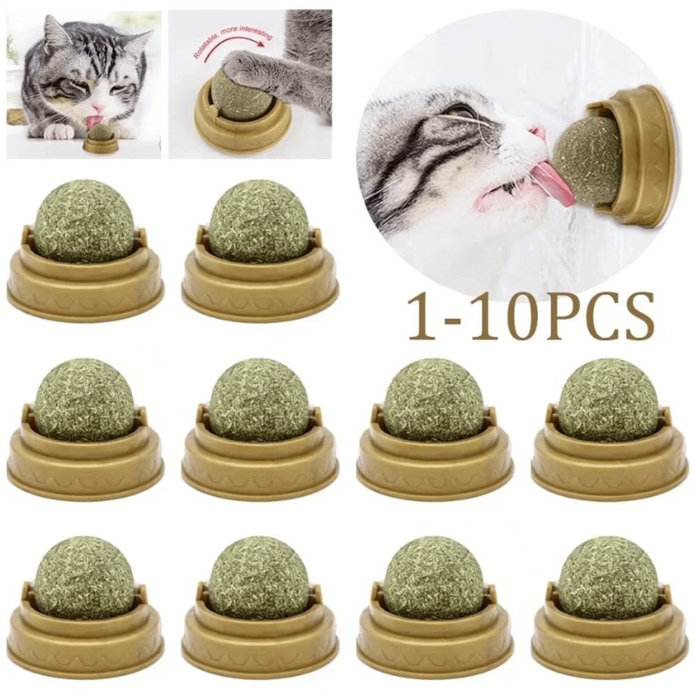 Catnip Mint Ball Toy For Teeth Cleaning Interactive Play 0