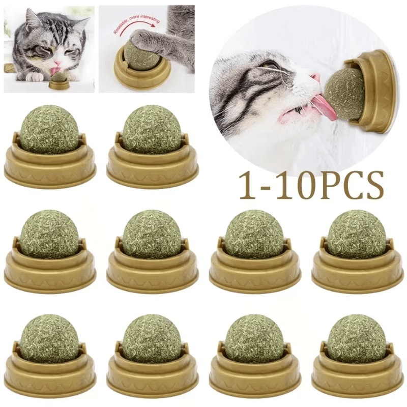 Catnip Mint Ball Toy For Teeth Cleaning Interactive Play 0