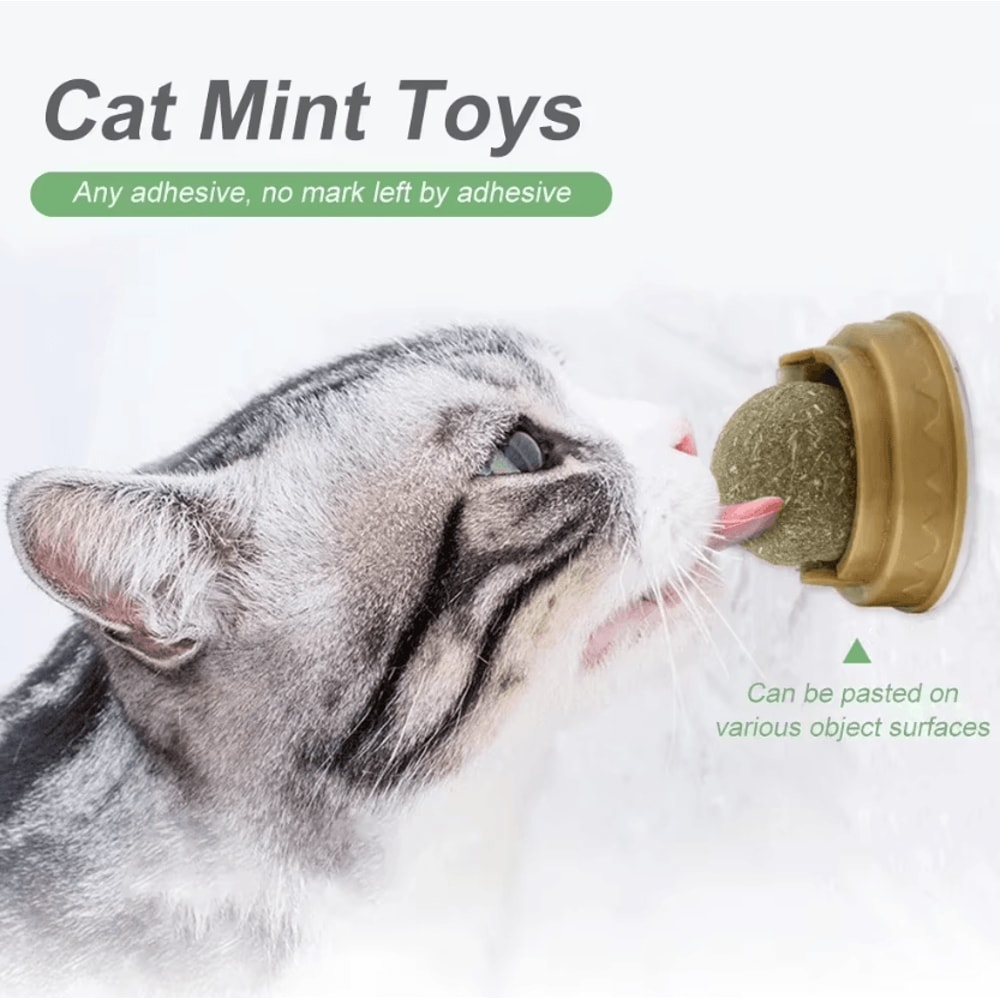 Catnip Mint Ball Toy For Teeth Cleaning Interactive Play 1