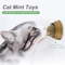 Catnip Mint Ball Toy For Teeth Cleaning Interactive Play 1