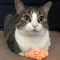 TinyPaws Funny Finger Massage Gloves 0