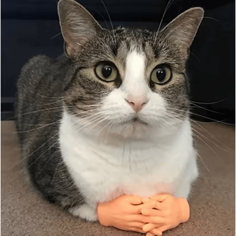 TinyPaws Funny Finger Massage Gloves 0