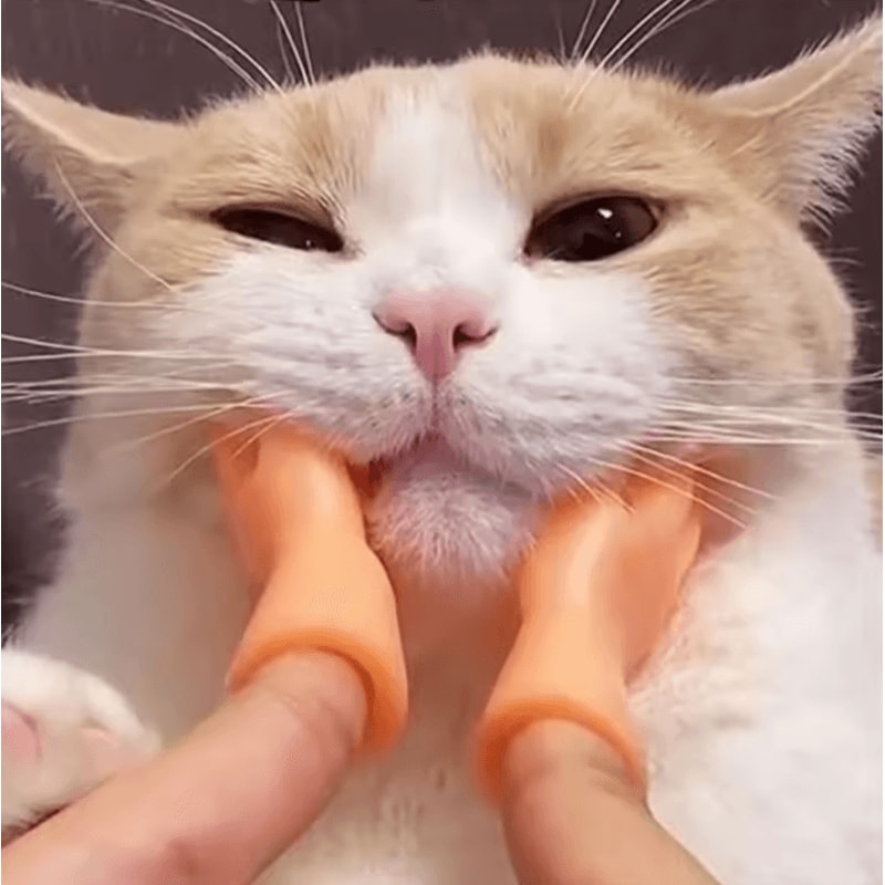 TinyPaws Funny Finger Massage Gloves 1