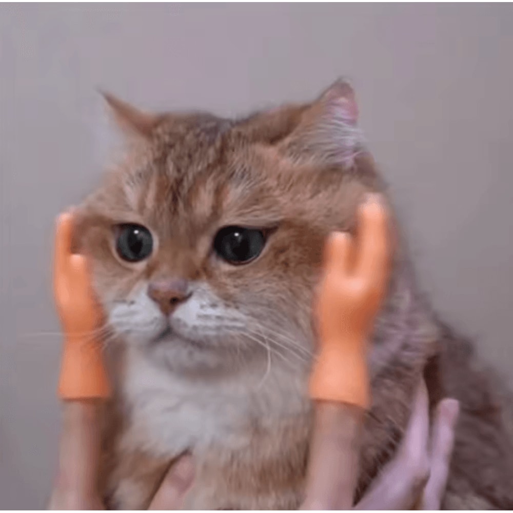 TinyPaws Funny Finger Massage Gloves 2