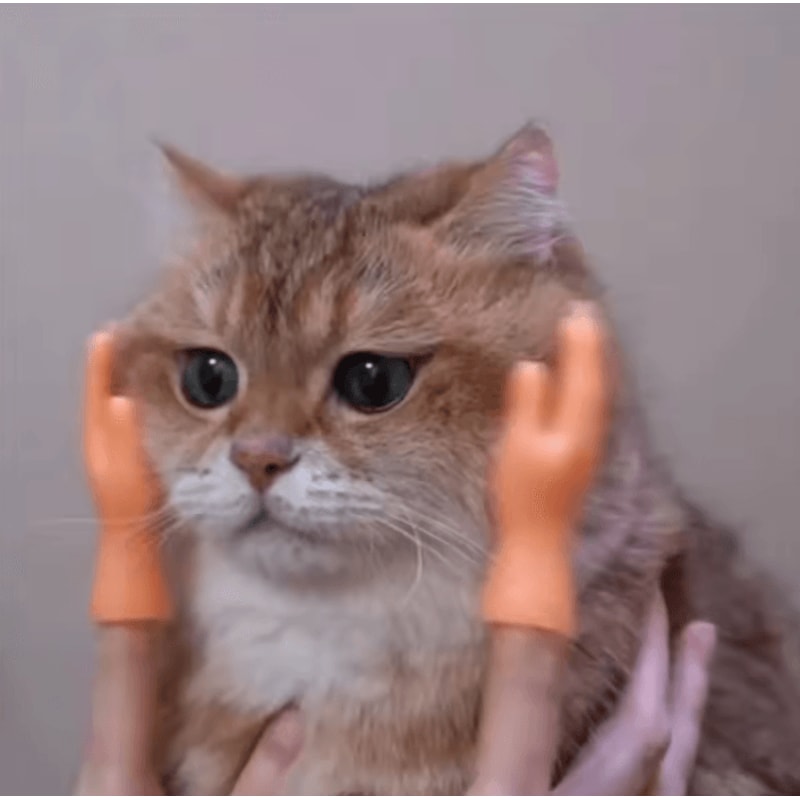 TinyPaws Funny Finger Massage Gloves 2