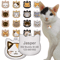 PawPrint Personalized Stainless Steel Pet ID Tag 0