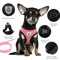 AirFit Breathable Mesh Pet Harness Leash Set 1