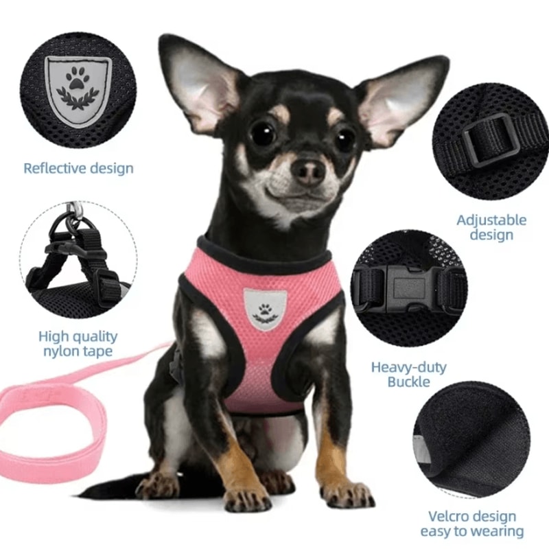 AirFit Breathable Mesh Pet Harness Leash Set 1