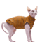 BreezyFit Cotton Summer Vest For Hairless Cats 0
