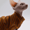 BreezyFit Cotton Summer Vest For Hairless Cats 3