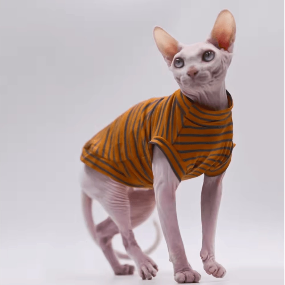 BreezyFit Cotton Summer Vest For Hairless Cats 4