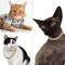 RoyalPaws Cuban Link Rhinestone Pet Necklace 3