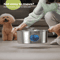 HydroMax 7L Stainless Steel Pet Water Fountain 2