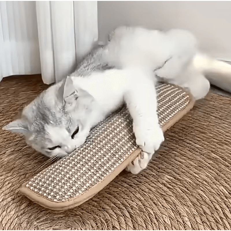 HeavyDuty Sisal Cat Scratching Pad Pillow With Filled Cushion And NonSlip Base 1