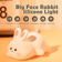 SoftGlow Animal Silicone Touch Night Lamp 2