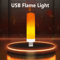 USB LED Flame Light Dynamic Flickering Fire Effect Atmosphere Bulb 0