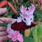 Vibrant 3D Printed Cherry Blossom Dragon Statue Colorful Fantasy Figurine Decor 4