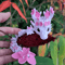 Vibrant 3D Printed Cherry Blossom Dragon Statue Colorful Fantasy Figurine Decor 4