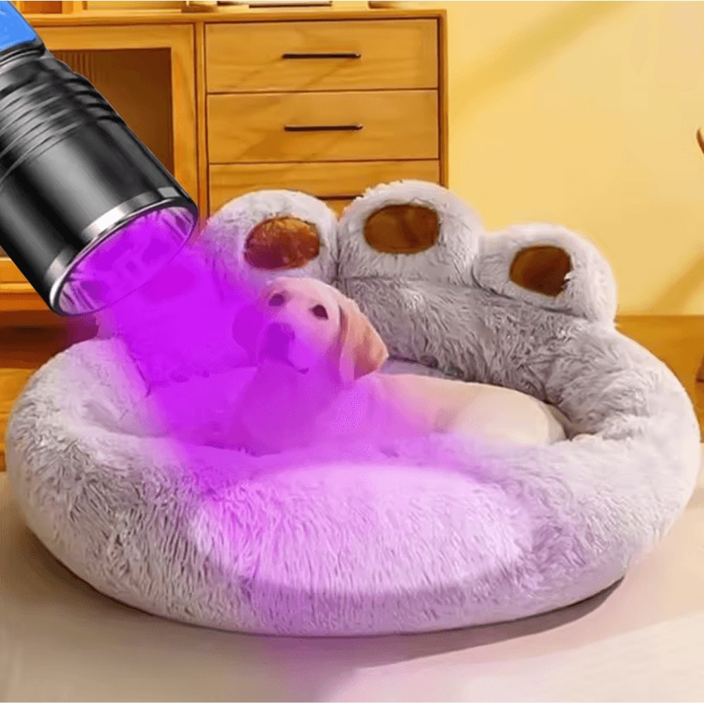 395nm UV Flashlight Blacklight Zoomable USB Rechargeable Ultraviolet Inspection Light 2