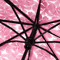 Creative Transparent Cherry Blossom Umbrella Clear Couple Student Beach SunRain Protection 3