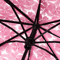 Creative Transparent Cherry Blossom Umbrella Clear Couple Student Beach SunRain Protection 3