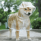 Transparent Hooded Dog Raincoat Waterproof Pet Rainwear Jacket For Small Dogs Puppies 0
