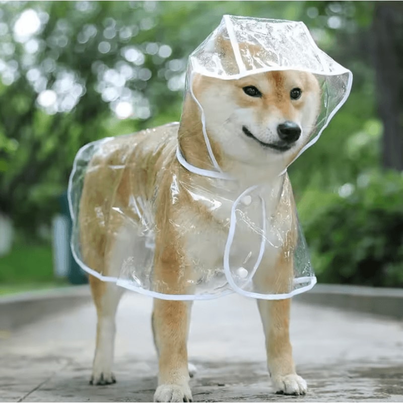 Transparent Hooded Dog Raincoat Waterproof Pet Rainwear Jacket For Small Dogs Puppies 0