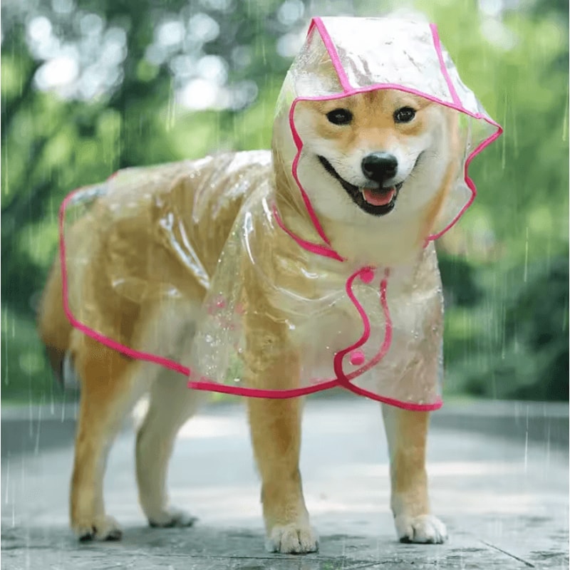 Transparent Hooded Dog Raincoat Waterproof Pet Rainwear Jacket For Small Dogs Puppies 2