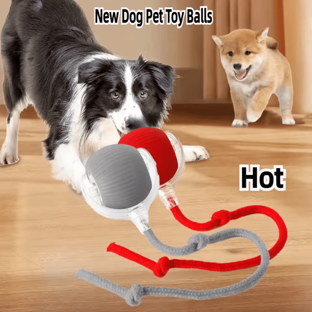 Rechargeable Interactive Pet Ball Toy Automatic Rolling Cat Ball Rechargeable Electric Dog Toy Wi 0