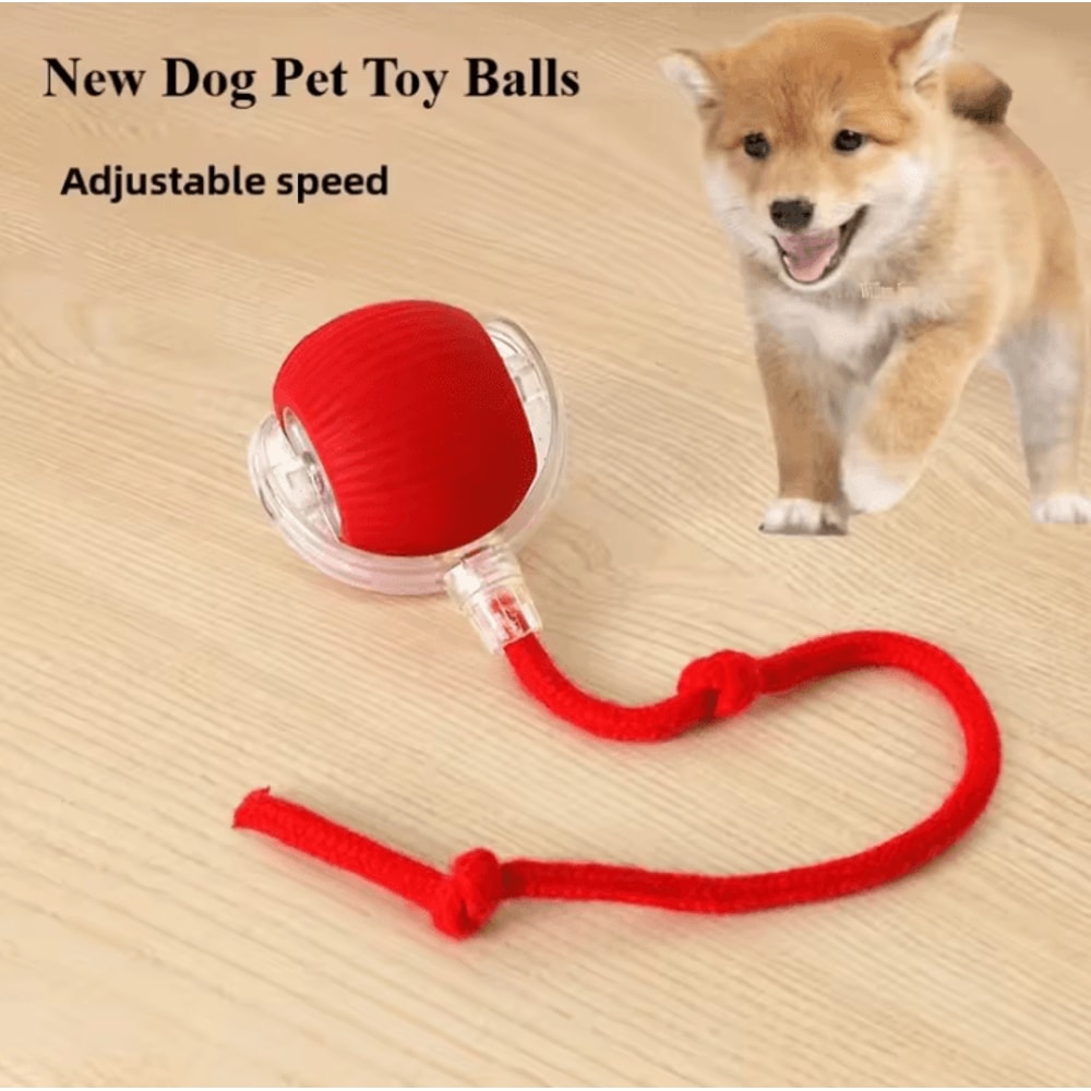 Rechargeable Interactive Pet Ball Toy Automatic Rolling Cat Ball Rechargeable Electric Dog Toy Wi 1