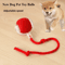 Rechargeable Interactive Pet Ball Toy Automatic Rolling Cat Ball Rechargeable Electric Dog Toy Wi 1