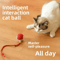 Rechargeable Interactive Pet Ball Toy Automatic Rolling Cat Ball Rechargeable Electric Dog Toy Wi 2