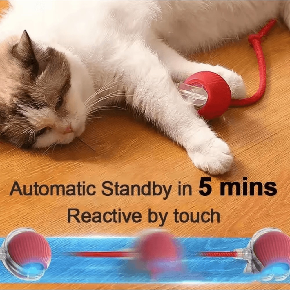 Rechargeable Interactive Pet Ball Toy Automatic Rolling Cat Ball Rechargeable Electric Dog Toy Wi 3