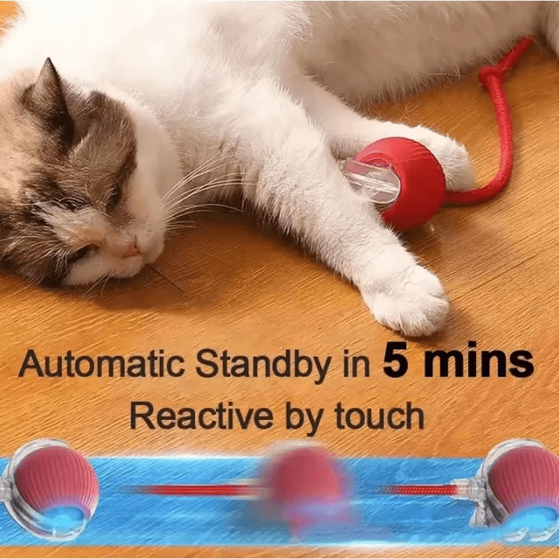 Rechargeable Interactive Pet Ball Toy Automatic Rolling Cat Ball Rechargeable Electric Dog Toy Wi 3