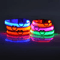 Nylon Luminous Dog Leash And Glow In The Dark Dog Collar LED Safety Pet Leash For Night Walking 1