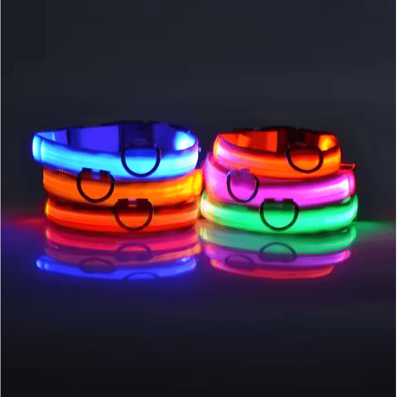 Nylon Luminous Dog Leash And Glow In The Dark Dog Collar LED Safety Pet Leash For Night Walking 1