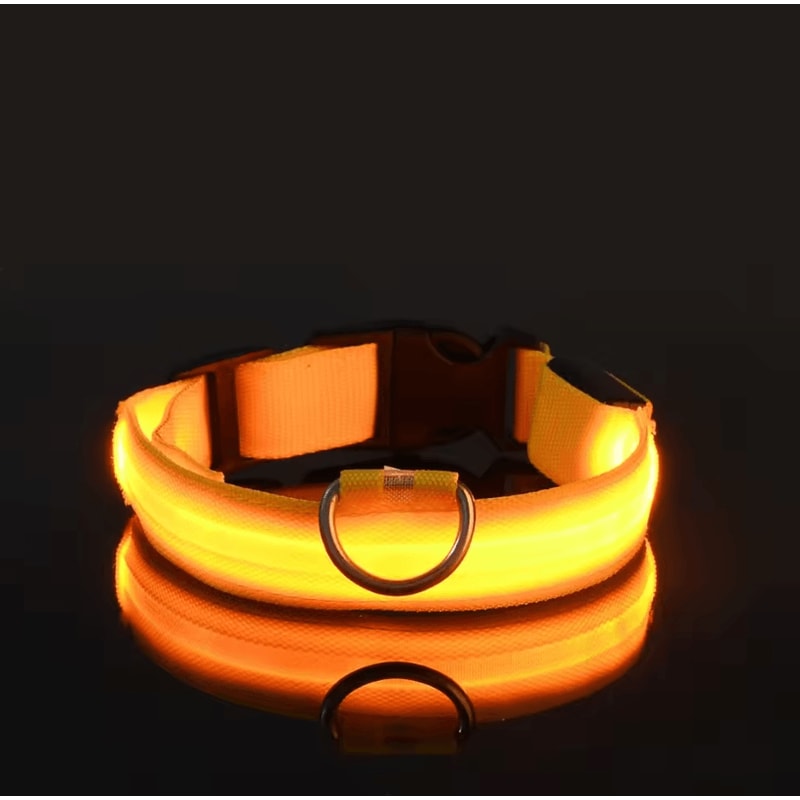 Nylon Luminous Dog Leash And Glow In The Dark Dog Collar LED Safety Pet Leash For Night Walking 10