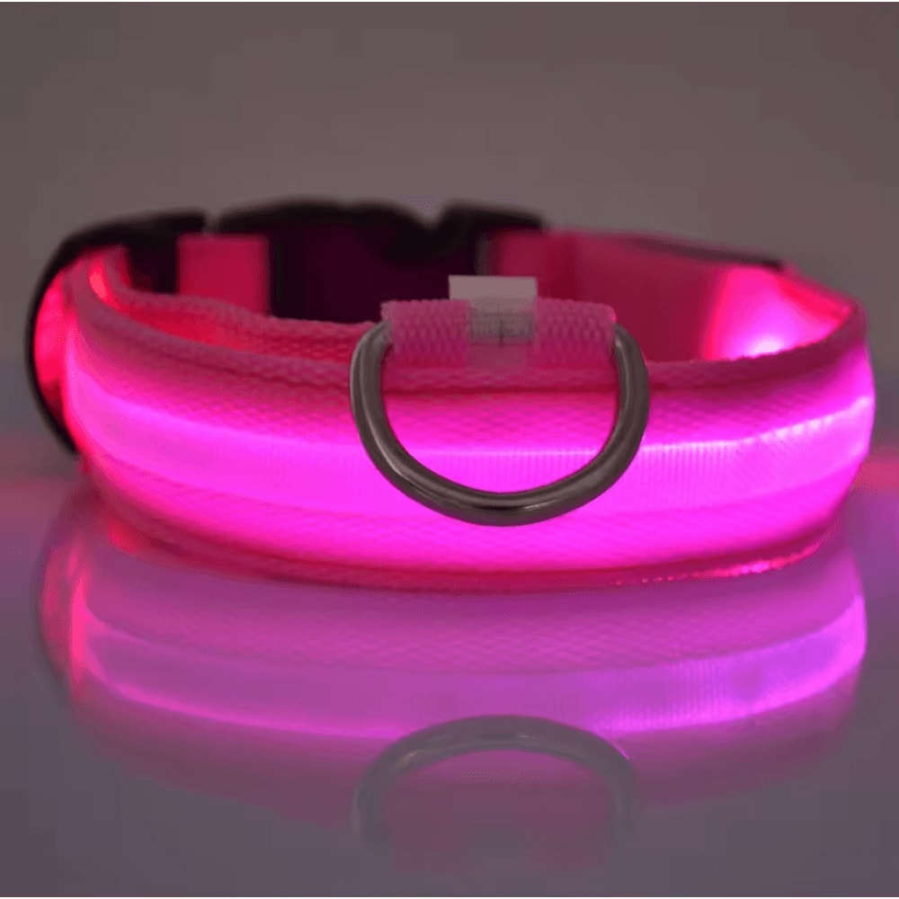 Nylon Luminous Dog Leash And Glow In The Dark Dog Collar LED Safety Pet Leash For Night Walking 2