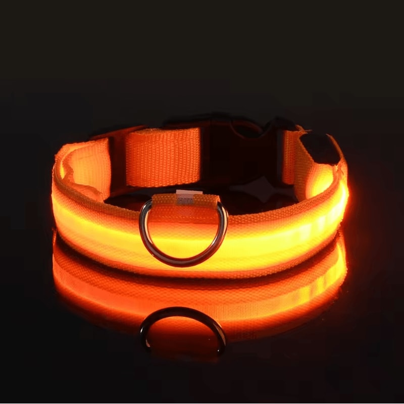 Nylon Luminous Dog Leash And Glow In The Dark Dog Collar LED Safety Pet Leash For Night Walking 5