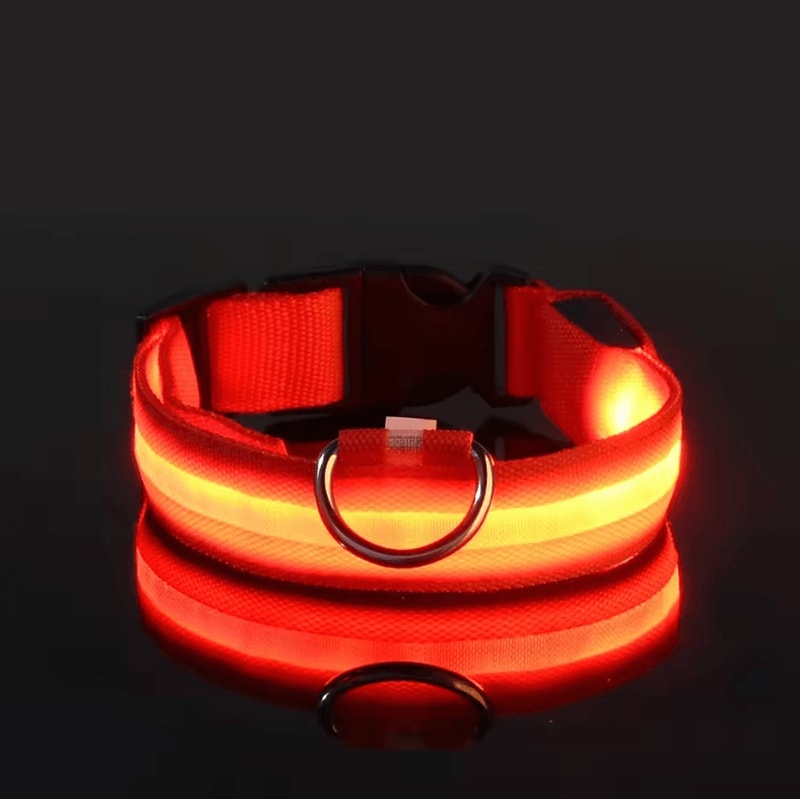 Nylon Luminous Dog Leash And Glow In The Dark Dog Collar LED Safety Pet Leash For Night Walking 8