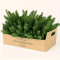 20 Pcs Artificial Pine Branches Christmas Tree Decoration And DIY Holiday Greenery For Winter Table 3