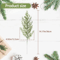 24 Pcs Artificial Pine Branches Christmas Evergreen Sprays For DIY Holiday Greenery And Christmas S 4