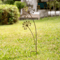 1PC Metal Metal Garden Stake Decorative Flower Patio Planter Outdoor Yard Decoration Stylish Decor 0