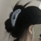 1Pc Creative Hair Clip Ocean Sardine Shark Texture Ponytail Holder Cute Hair Ornament Clip For Wom 4