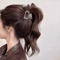 Elegant Oval Hair Claw Clip Womens Hair Claw With Secure Grip Hair Clip For Sophisticated Style 2