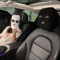 3 Hole Car Seat Headrest Cover Funny Headrest Ski Mask With AntiDust Car Accessory Full Face Prote 3