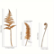 3Pcs Rusty Fern Leaves Garden Stakes Metal Garden Art Decor Outdoor Plant Stake Bouquet For Yard 5