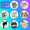 500Pcs Cartoon Cat Stickers Meme Sticker Pack For Planner Scrapbooking Stickers And Cat Lover Gif 5