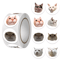 500Pcs Cartoon Cat Stickers Meme Sticker Pack For Planner Scrapbooking Stickers And Cat Lover Gif 9