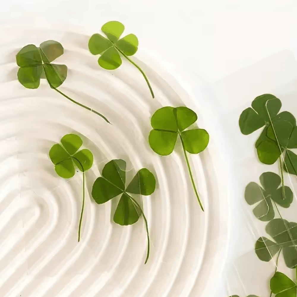Vintage Lucky Clover Postcards Transparent Wishing Cards With Natural Grass For Bookmarks And Keep 1
